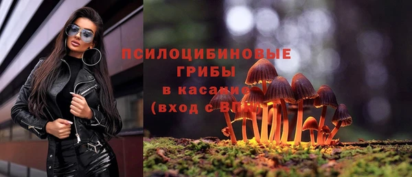 а пвп мука Нязепетровск
